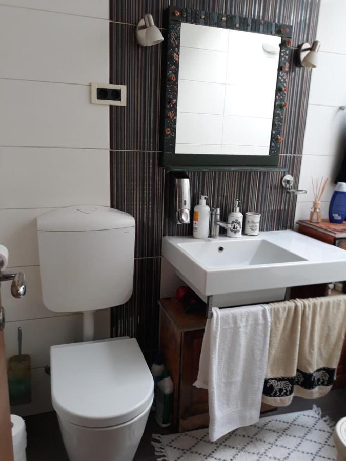 Camping Under The Walnut In Your Own Tent On A Shared Lot And Shared Bathroom Ljubljana Exteriör bild