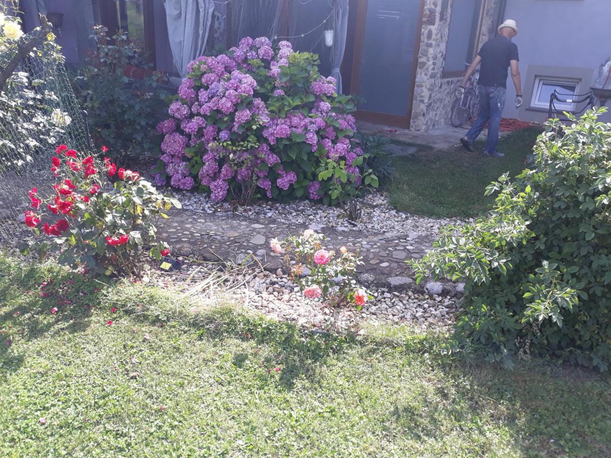 Camping Under The Walnut In Your Own Tent On A Shared Lot And Shared Bathroom Ljubljana Exteriör bild