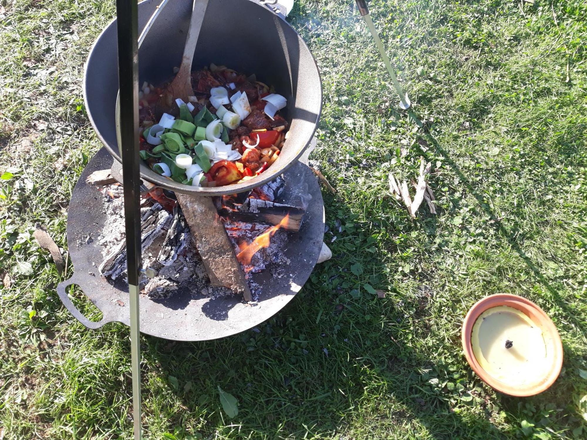 Camping Under The Walnut In Your Own Tent On A Shared Lot And Shared Bathroom Ljubljana Exteriör bild