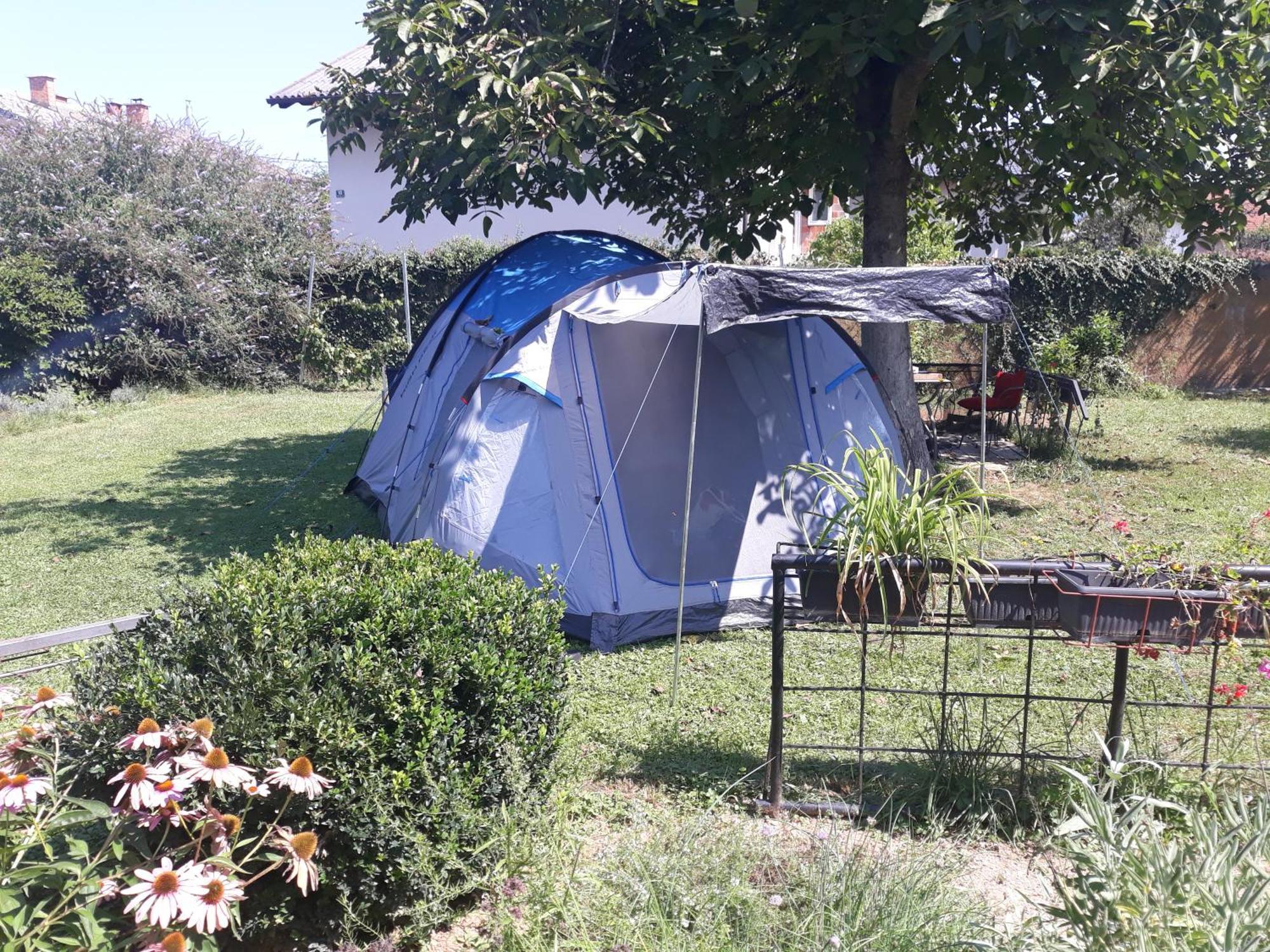 Camping Under The Walnut In Your Own Tent On A Shared Lot And Shared Bathroom Ljubljana Exteriör bild