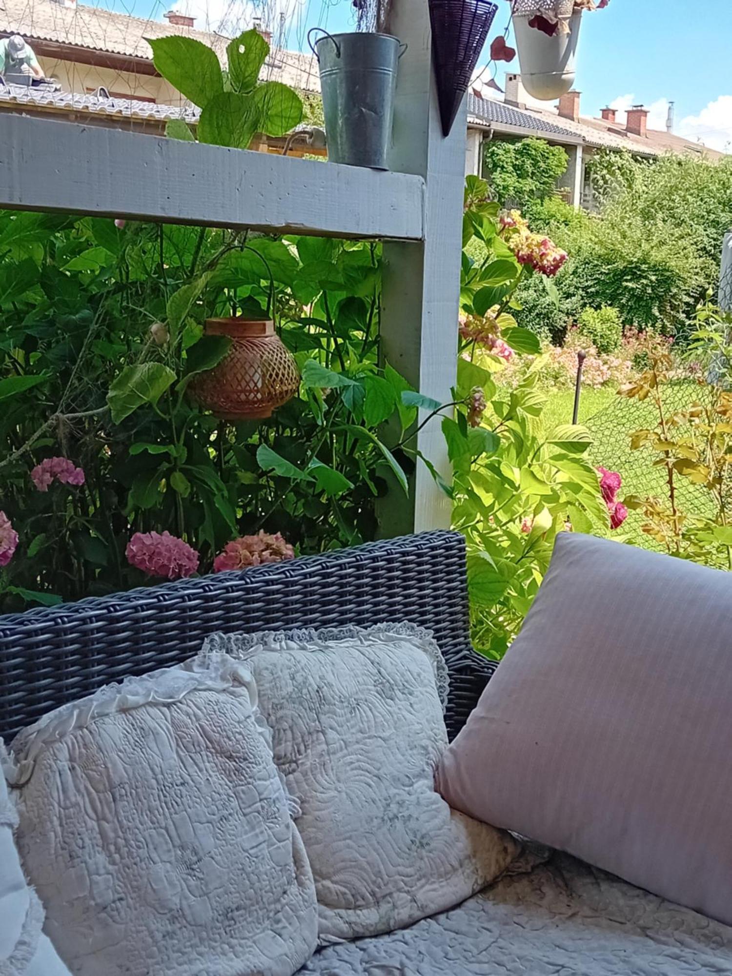 Camping Under The Walnut In Your Own Tent On A Shared Lot And Shared Bathroom Ljubljana Exteriör bild